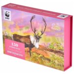 Дикий северный олень