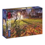 В тени задумчивых аллей