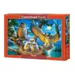 Совиное семейство