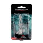 D&D. Неокрашенные миниатюры: Male Human Paladin