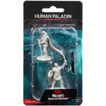 D&D. Неокрашенные миниатюры: Human Paladin Male