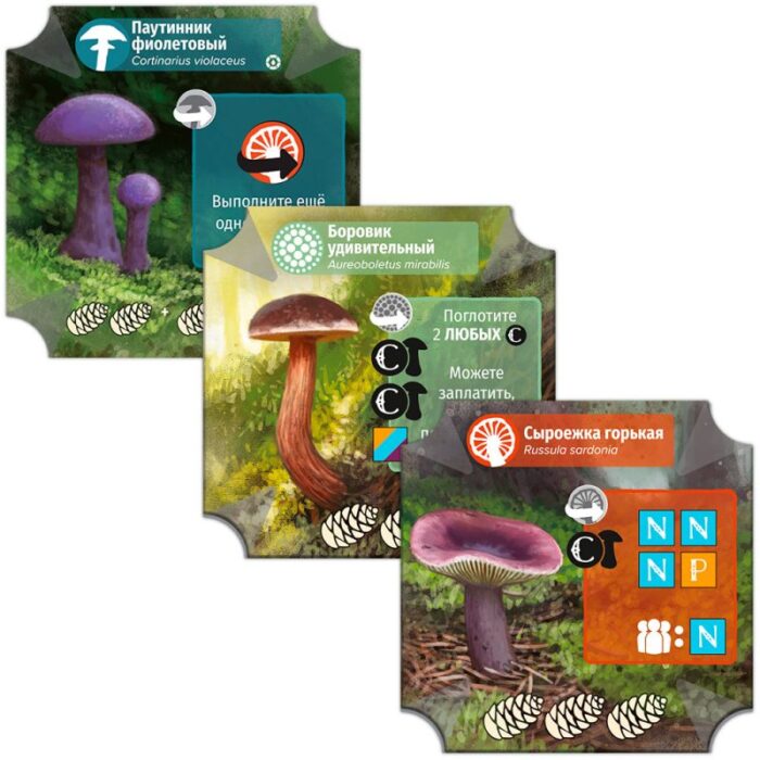 Грибы и корни — изображение 5