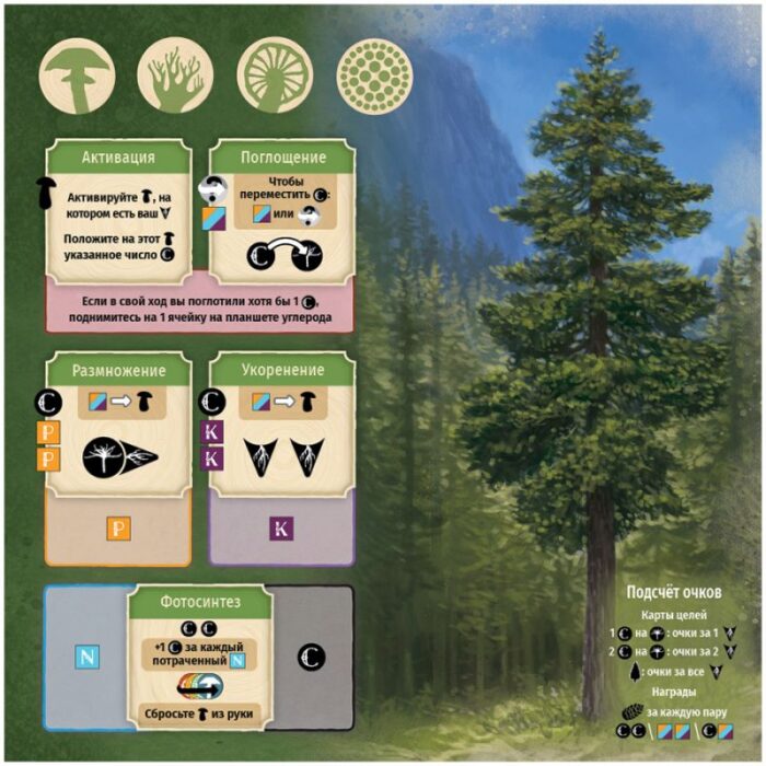 Грибы и корни — изображение 4