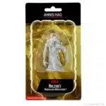 D&D Nolzur’s Marvelous Miniatures: Annis Hag