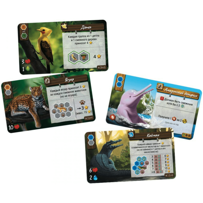 Дикая природа Амазонии — изображение 14