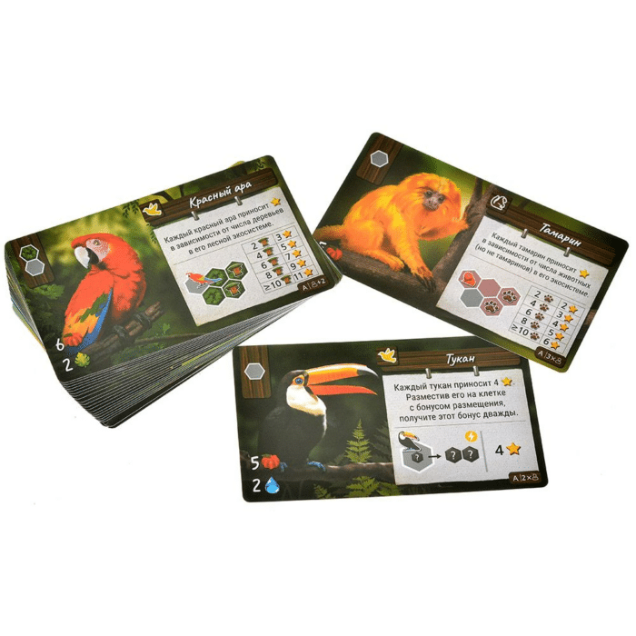 Дикая природа Амазонии — изображение 6