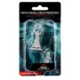 D&D Nolzur’s Marvelous Miniatures: Drow Mage & Drow Priestess