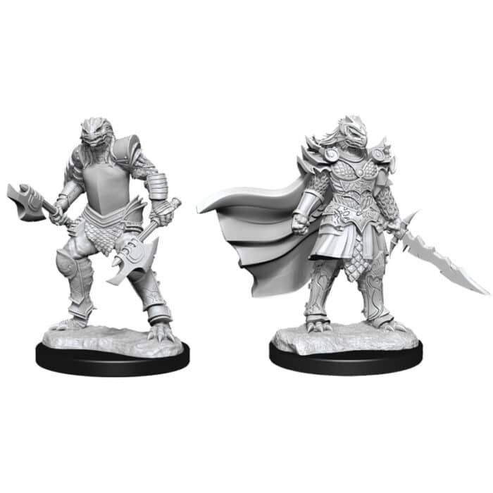 D&D Nolzur’s Marvelous Miniatures: Dragonborn Fighter Female