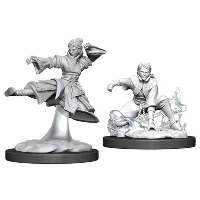D&D Nolzur’s Marvelous Miniatures: Female Human Monk