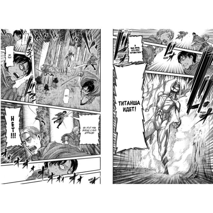 Атака на Титанов. Книга 4
