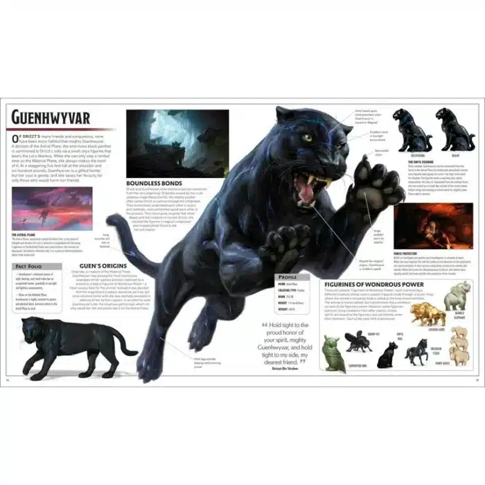 Dungeons & Dragons: The Legend of Drizzt - Visual Dictionary — изображение 2