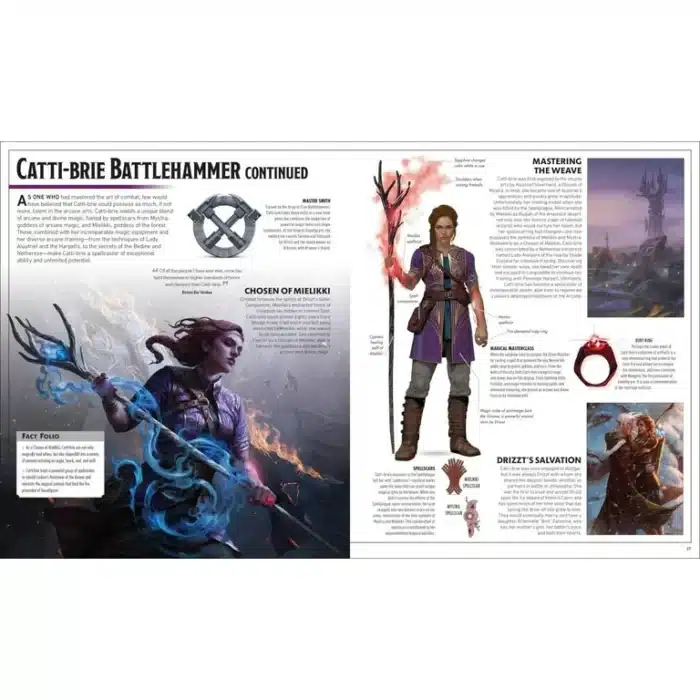 Dungeons & Dragons: The Legend of Drizzt - Visual Dictionary — изображение 3