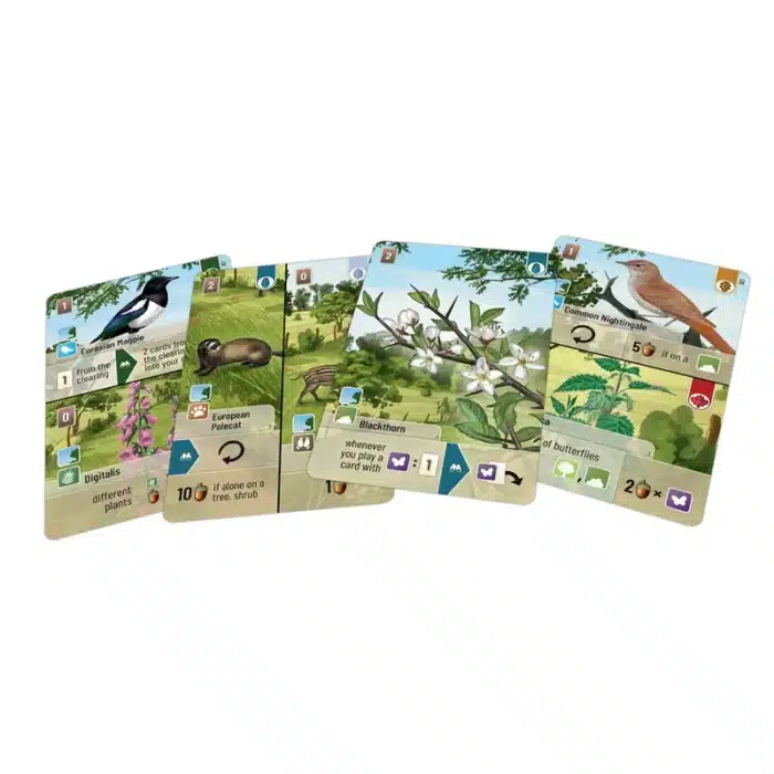 Forest Shuffle (Eng) — изображение 3