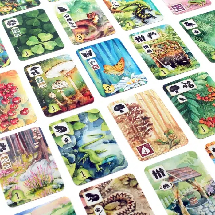 Meadow (Eng) - Image 4