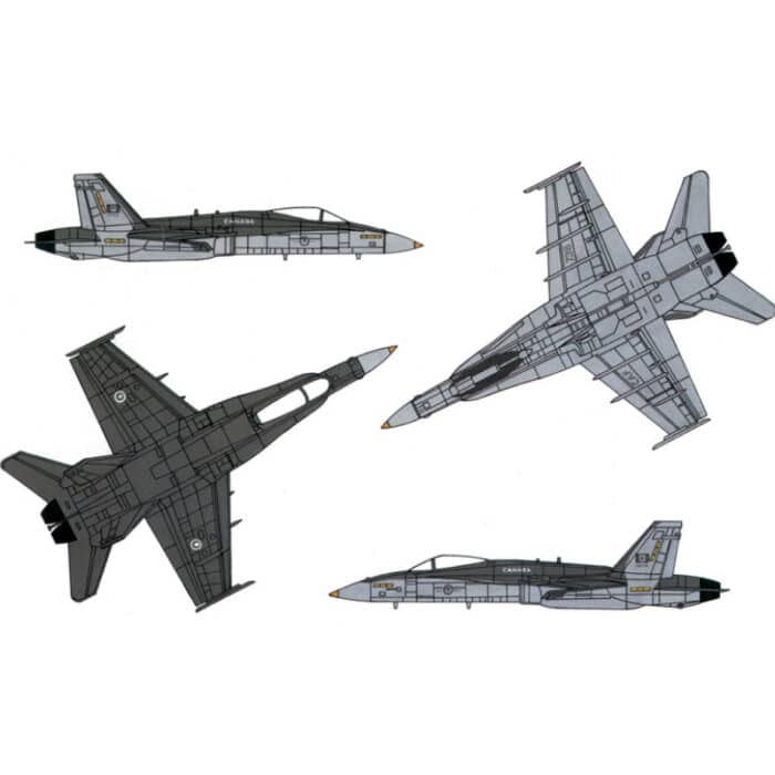 F/A-18 Wild Weasel C/D «Hornet»