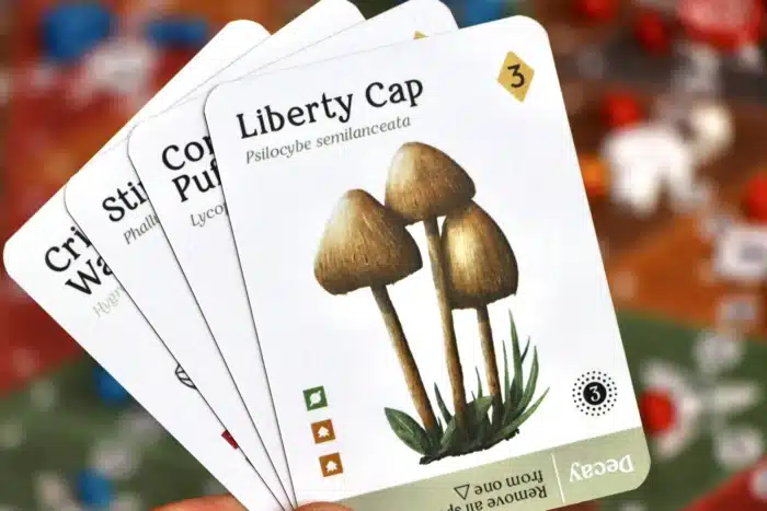 Mycelia: The Strategic Mushroom Game (Eng) - Image 3