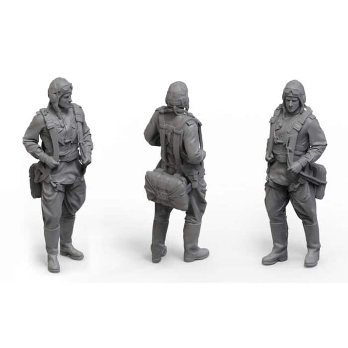 Советский двухместный штурмовик Ил-2 (обр. 1943г) В. Т. Алексухин - Image 6